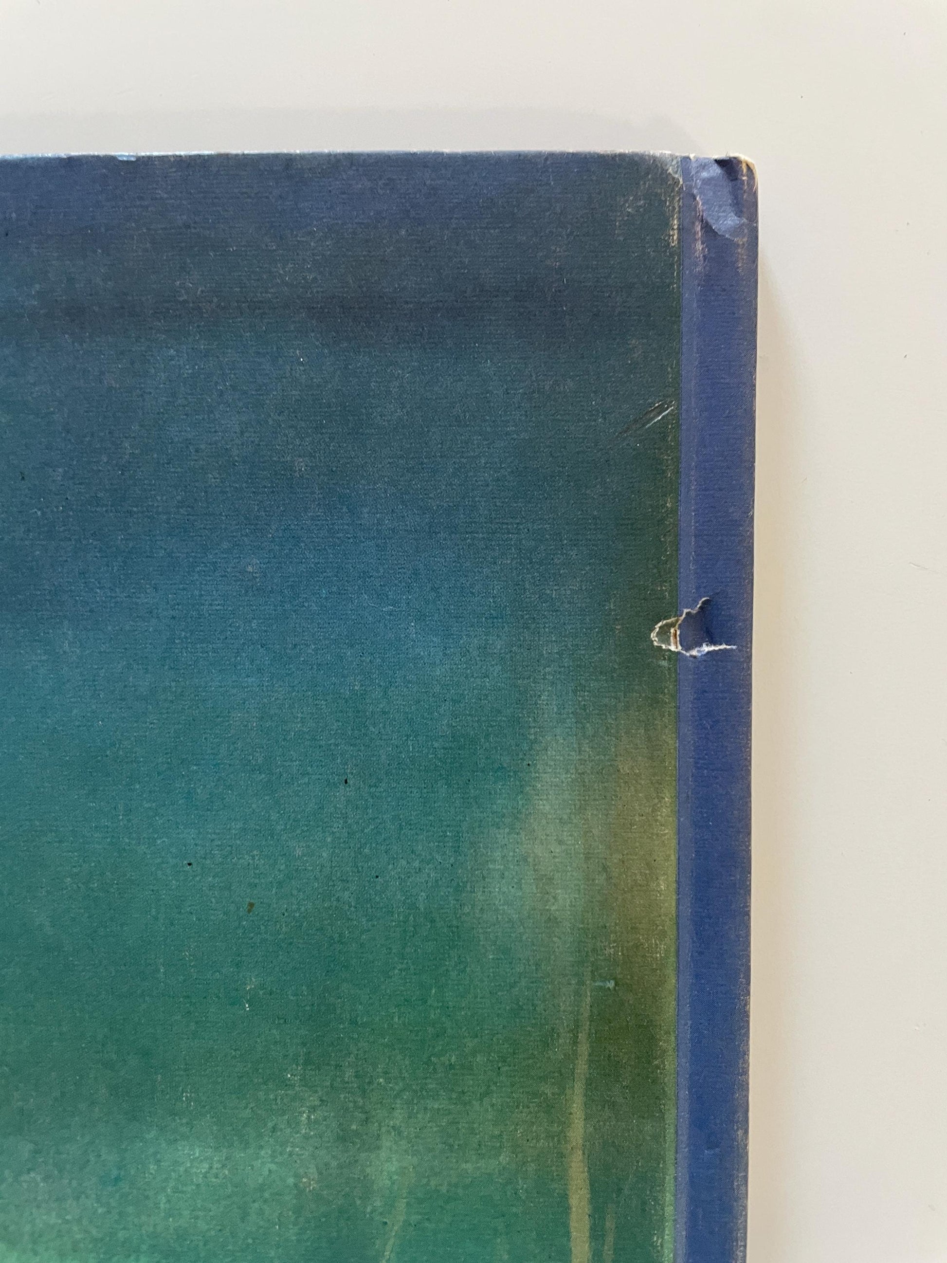 The Big Book of Real Boats and Ships by George J. Saffo