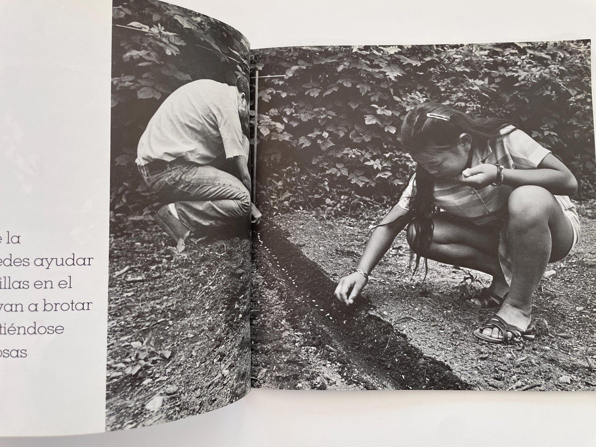 Spanish copy of Helping Out; Ser Útil by George Ancona