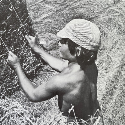 Spanish copy of Helping Out; Ser Útil by George Ancona