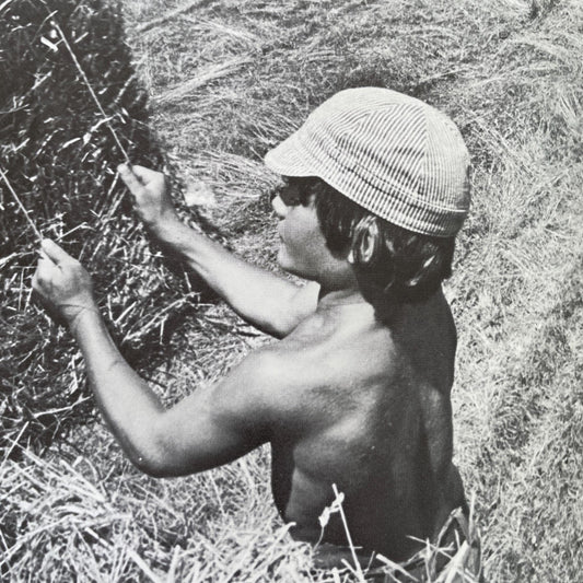 Spanish copy of Helping Out; Ser Útil by George Ancona