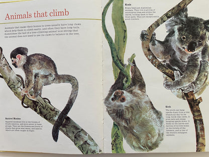 All Kinds of Animals