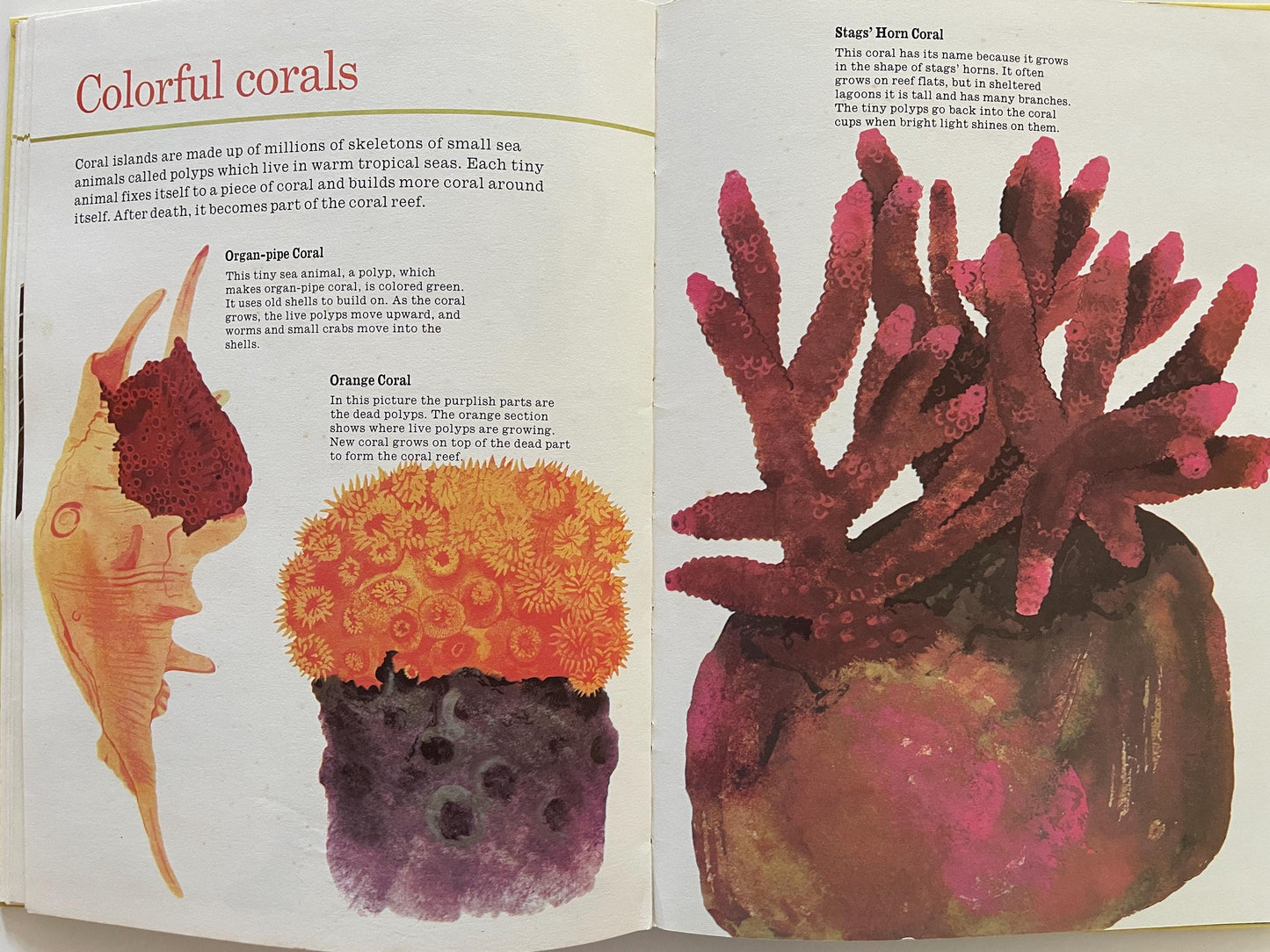All Kinds of Animals