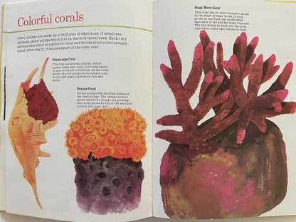 All Kinds of Animals