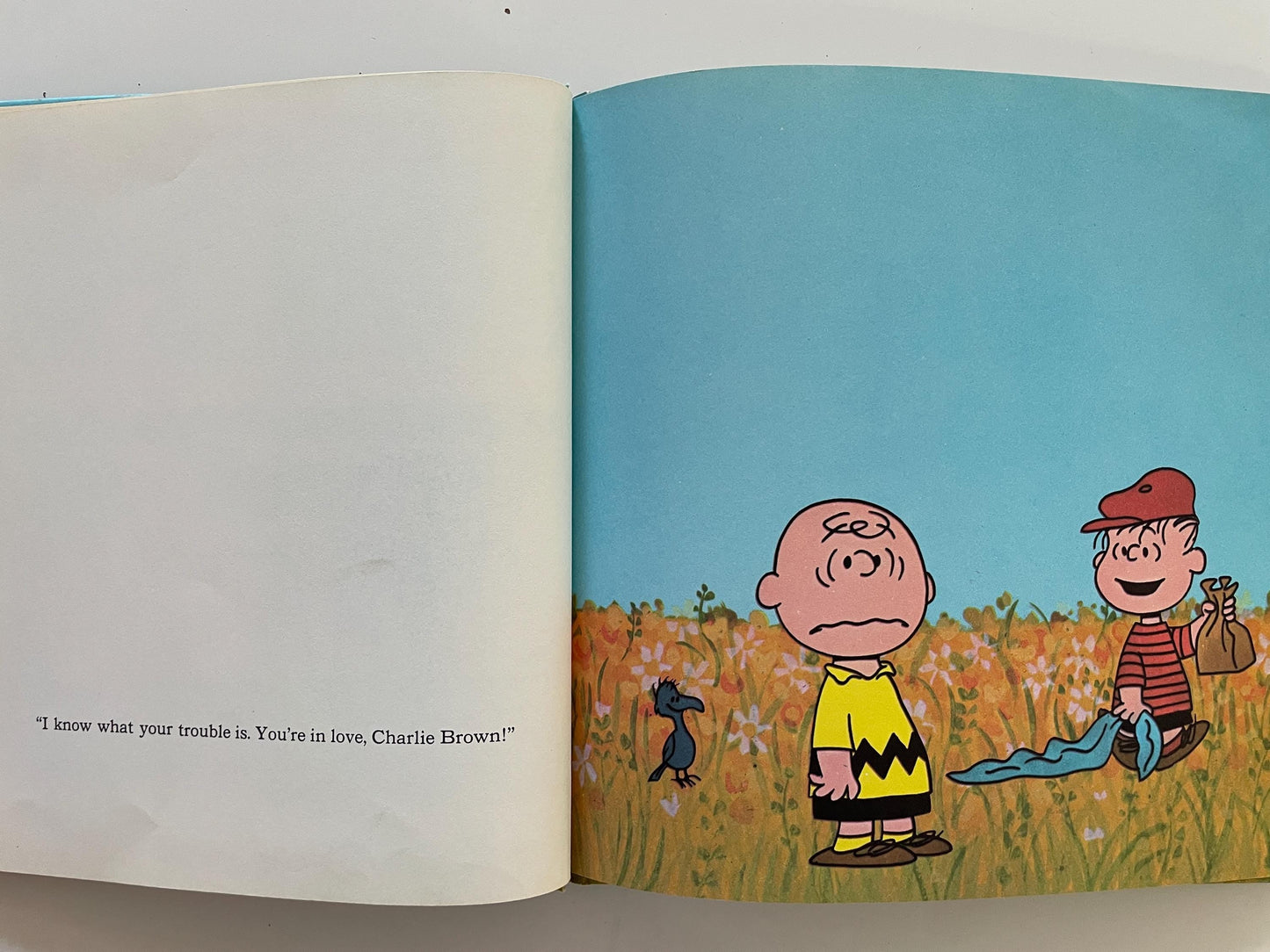 You're in Love, Charlie Brown