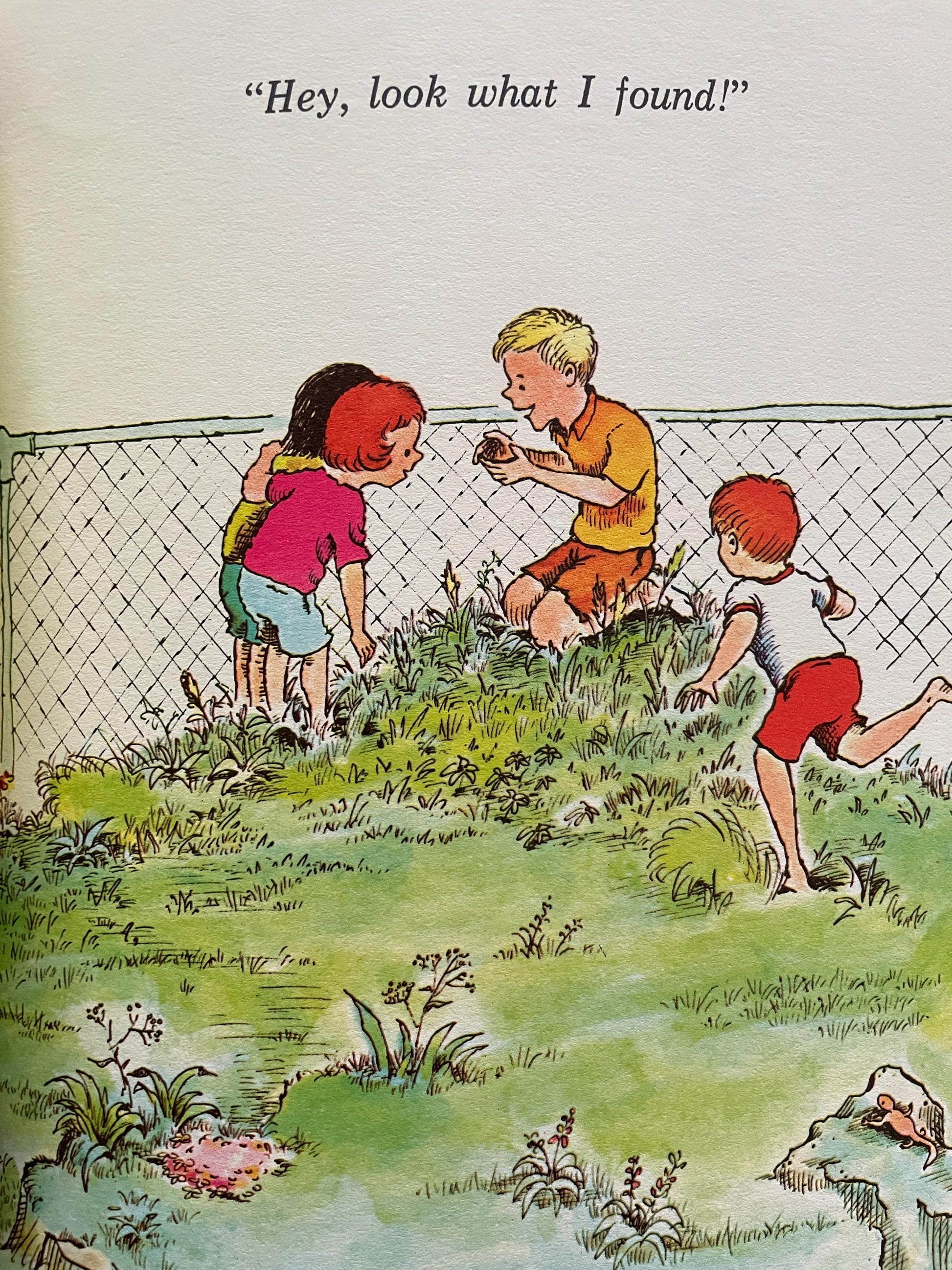 Surprise! Surprise! Guess What's Inside, illustrated by Kelly Oechsli