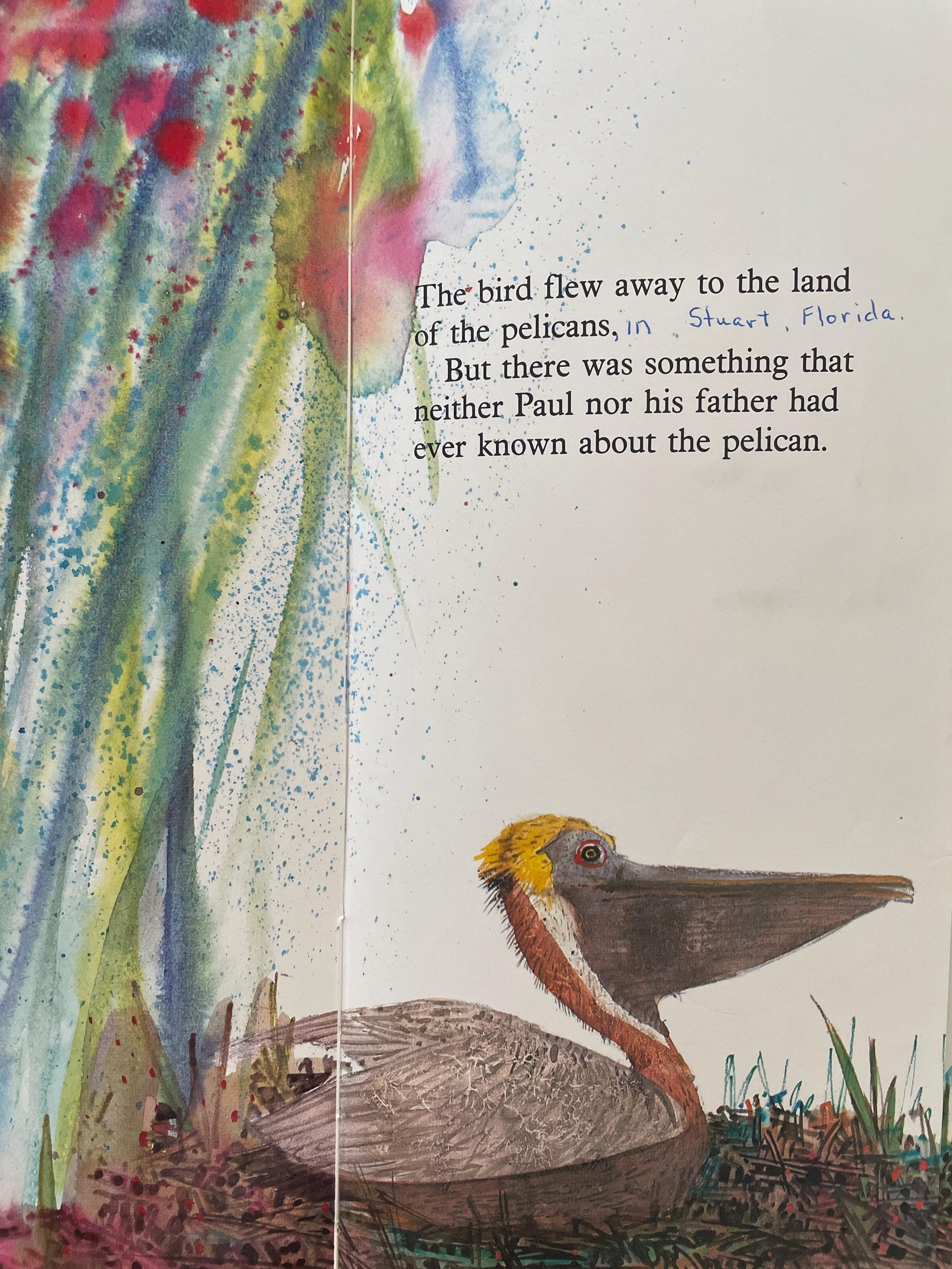 Pelican by Brian Wildsmith