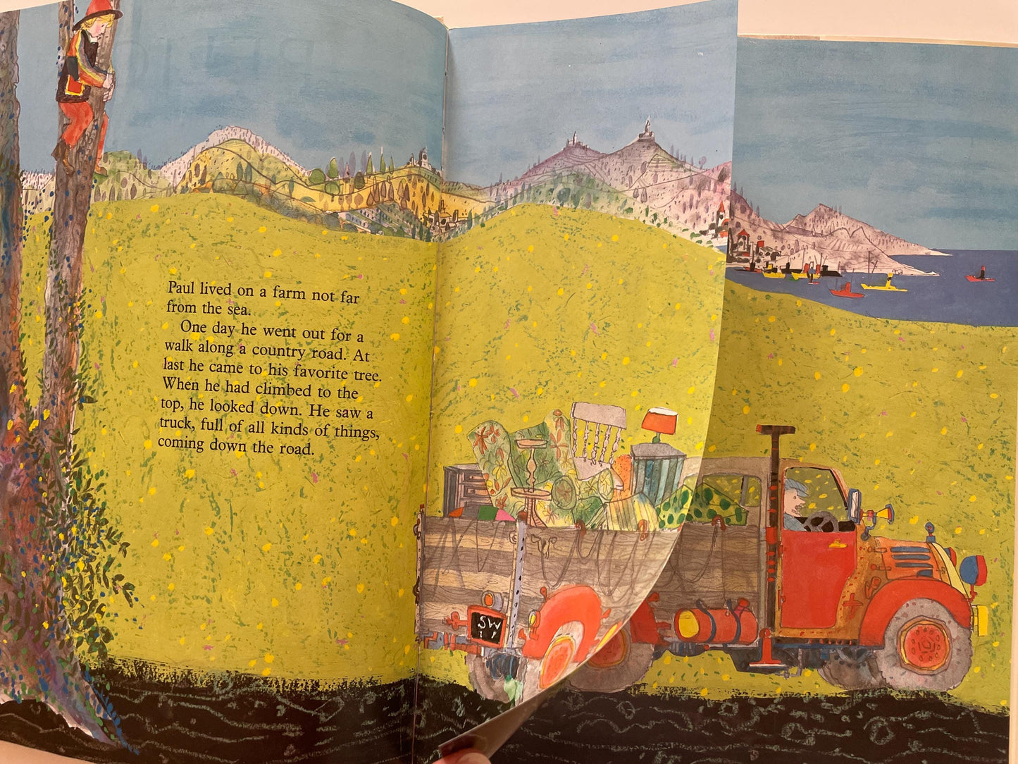 Pelican by Brian Wildsmith