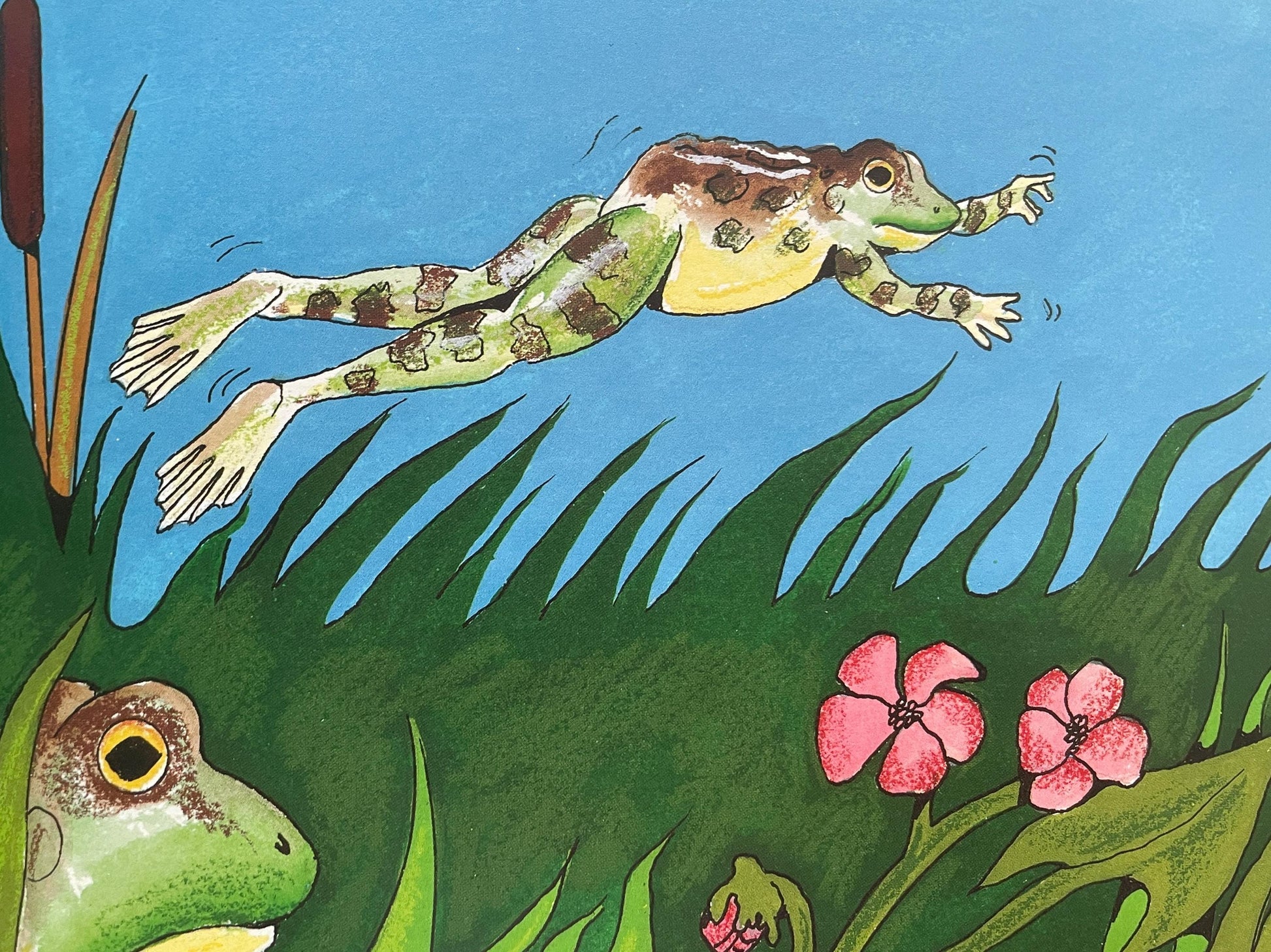 Frogs by Gail Gibbons