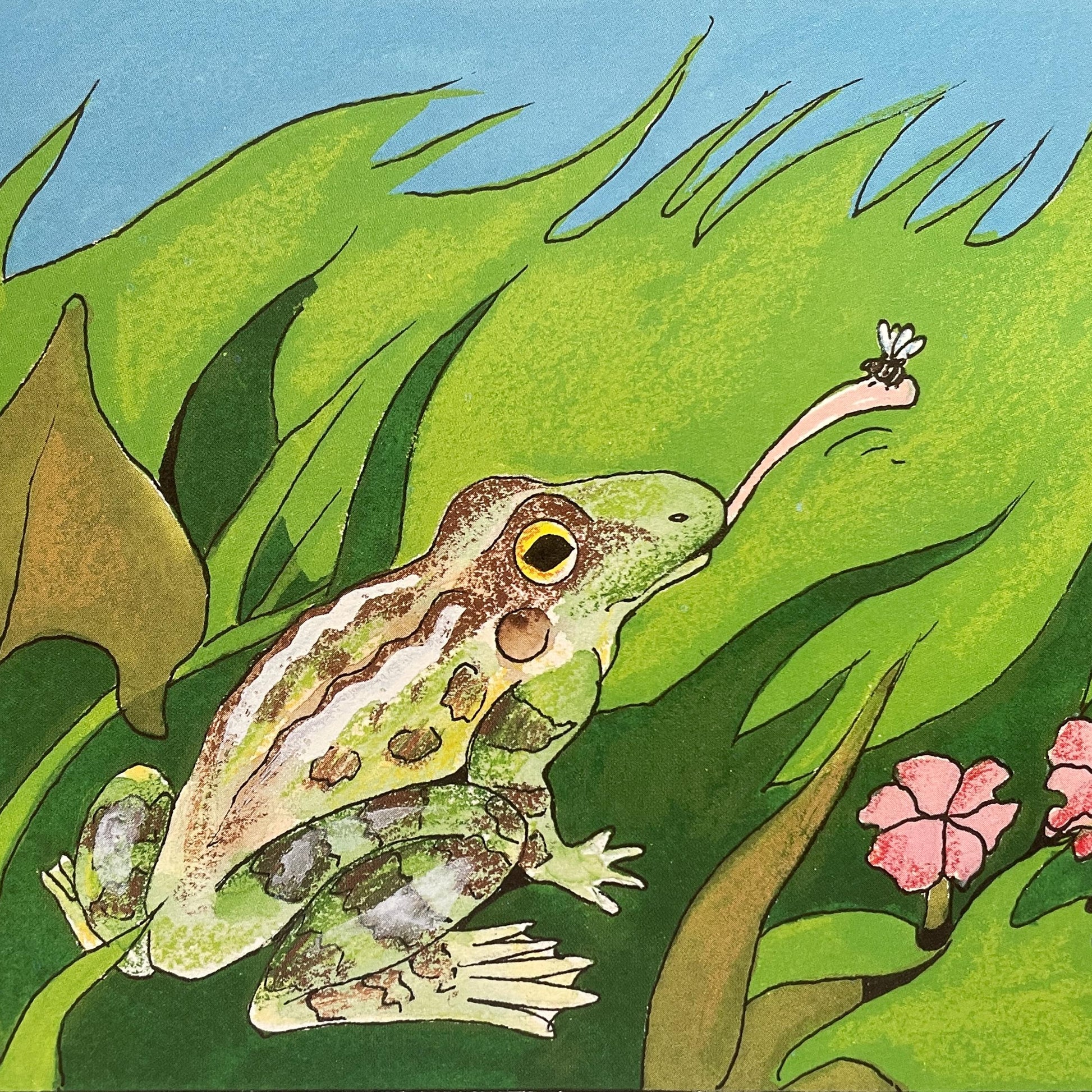 Frogs by Gail Gibbons