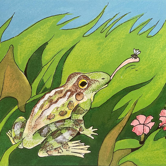 Frogs by Gail Gibbons