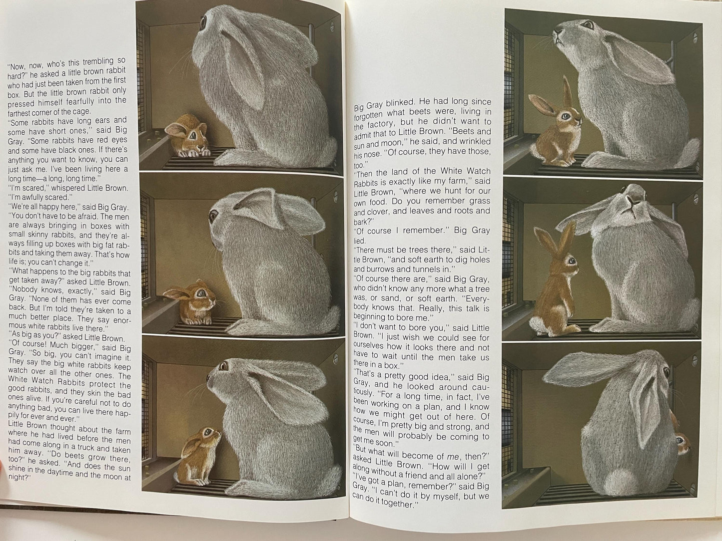 Rabbit Island by Jorg Steiner, illustrated by Jorg Muller