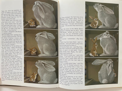 Rabbit Island by Jorg Steiner, illustrated by Jorg Muller