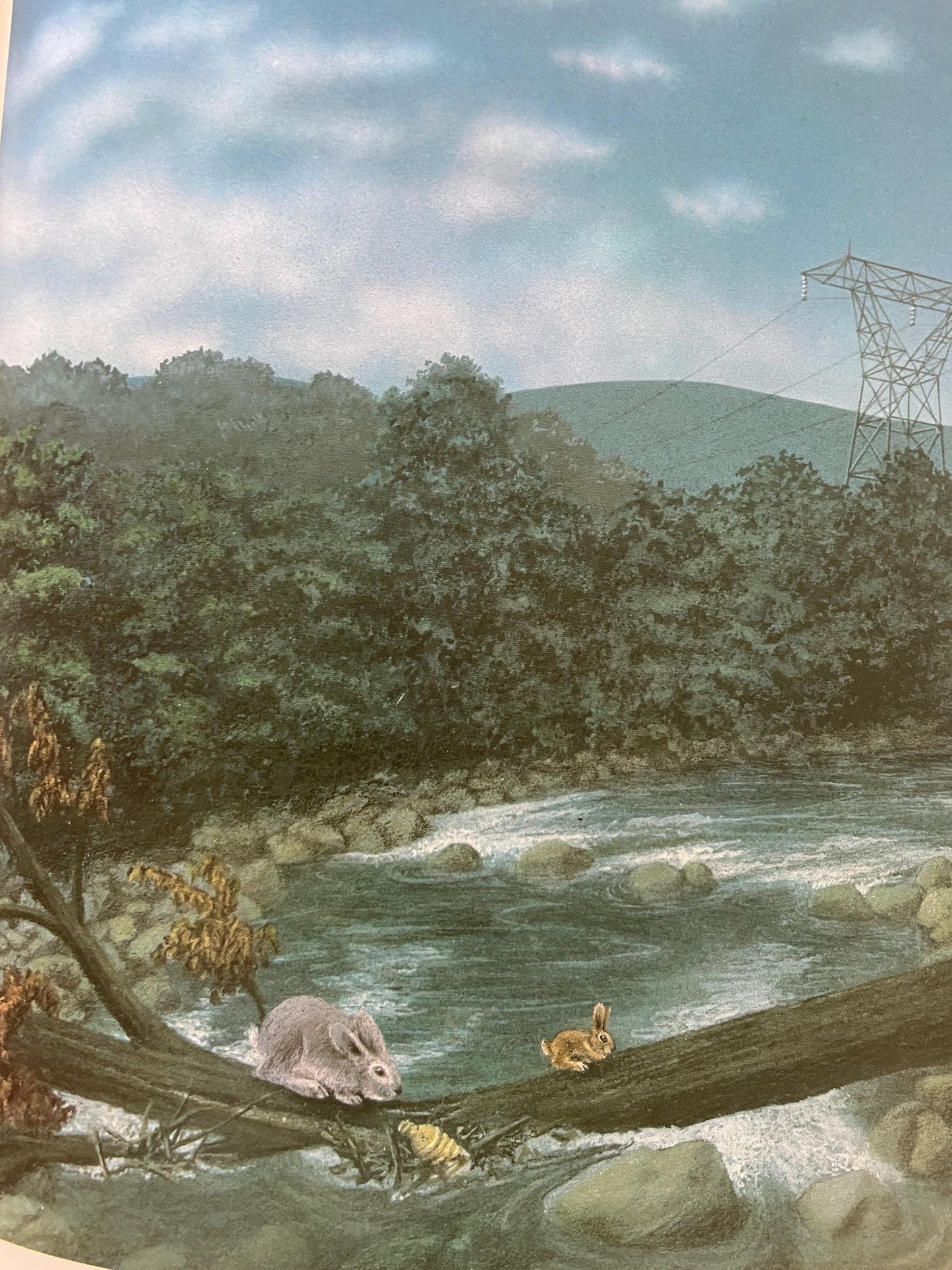 Rabbit Island by Jorg Steiner, illustrated by Jorg Muller