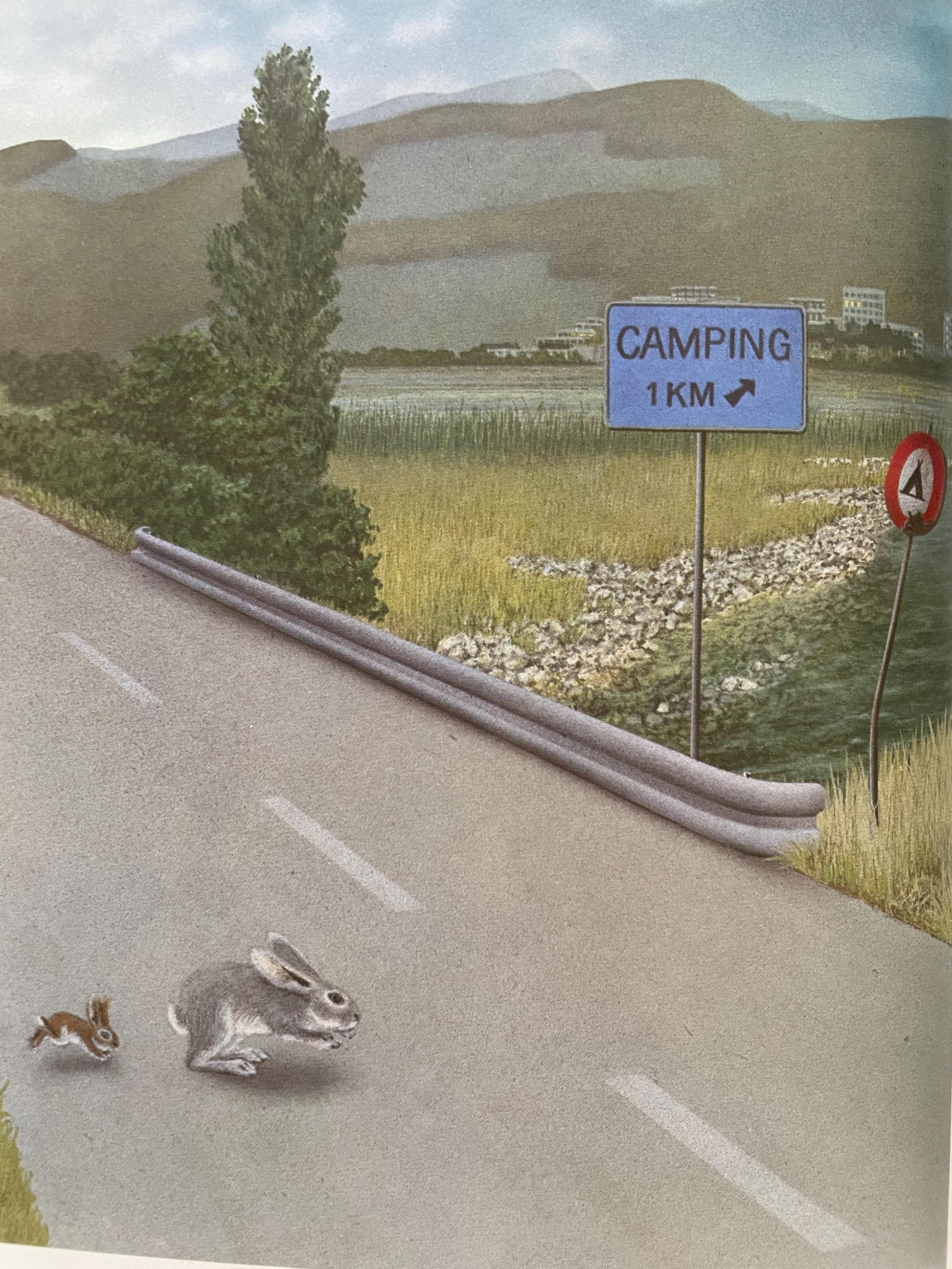 Rabbit Island by Jorg Steiner, illustrated by Jorg Muller