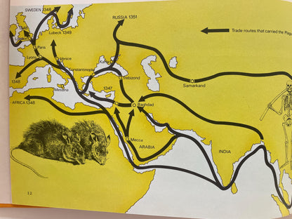 Timespan: Disasters by Tim Healey