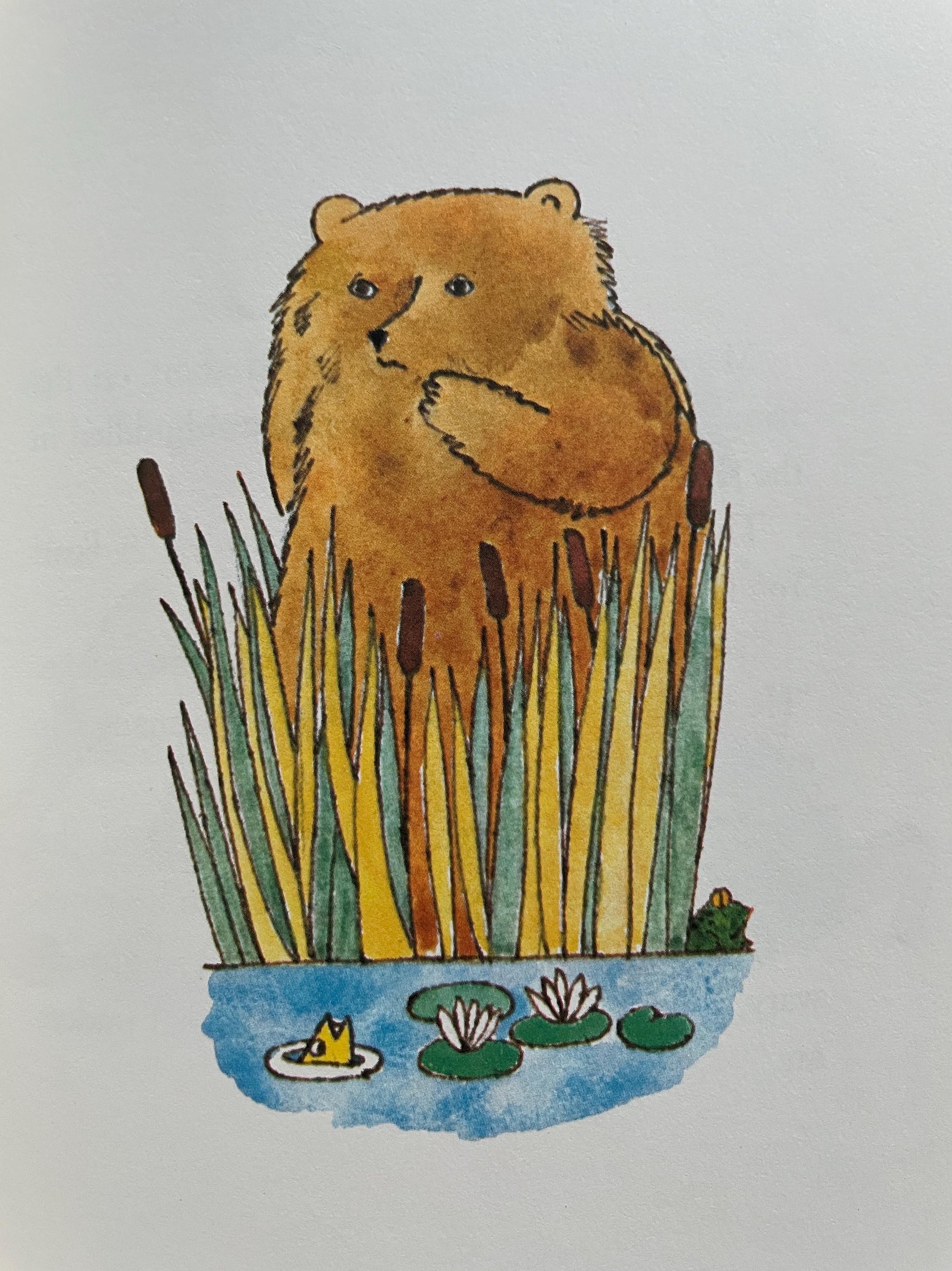 A Gift for Tolum by Marjorie Hopkins, illustrated by Anne Rockwell