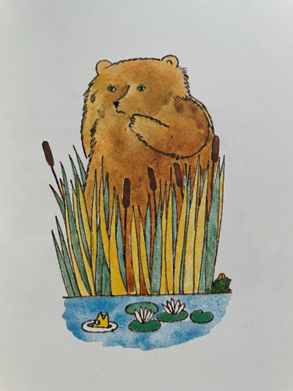 A Gift for Tolum by Marjorie Hopkins, illustrated by Anne Rockwell