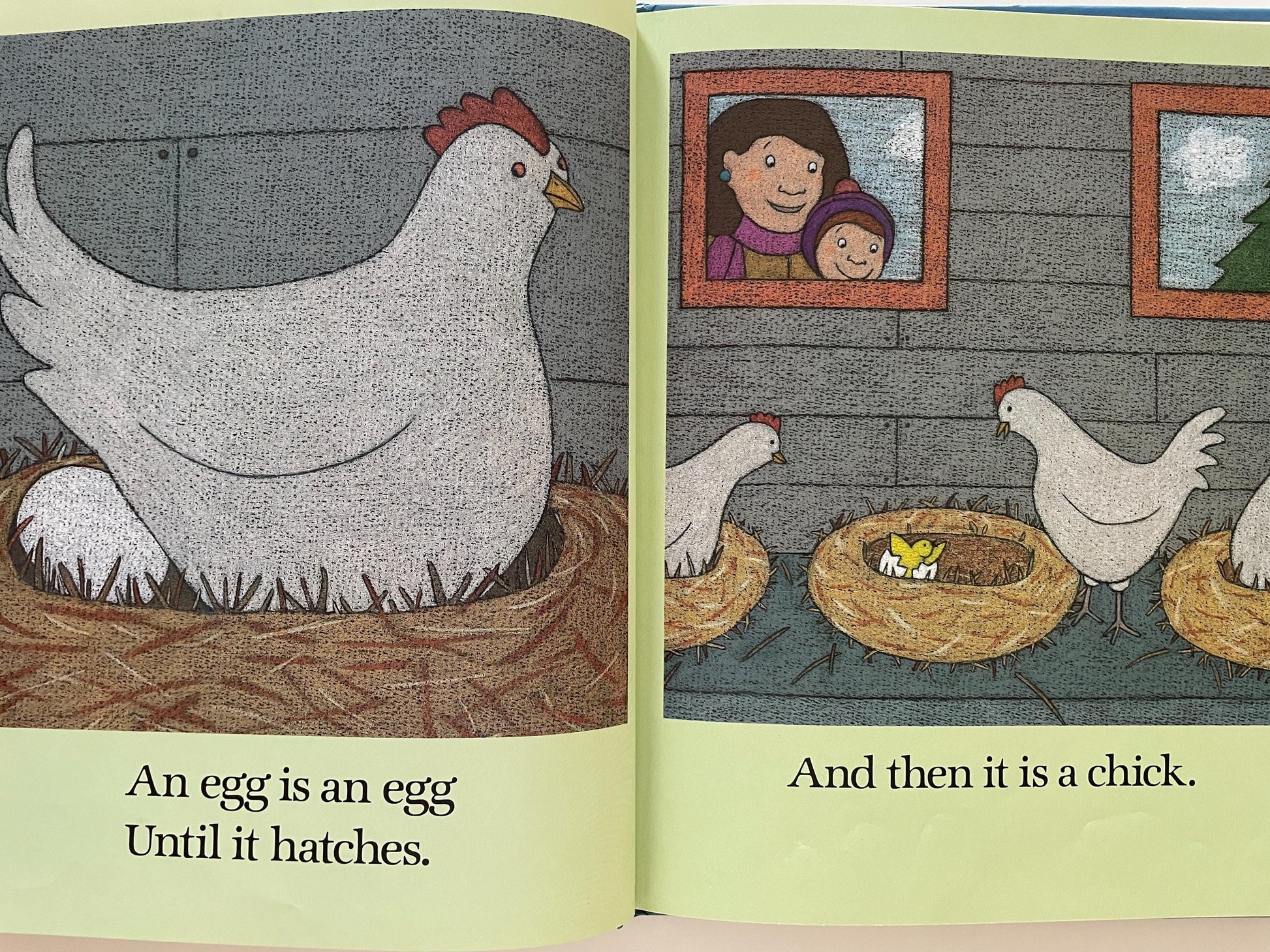 An Egg is An Egg by Nicki Weiss