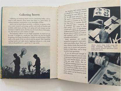 The Insect World, a Golden Library of Knowledge book by Norman M. Lobsenz