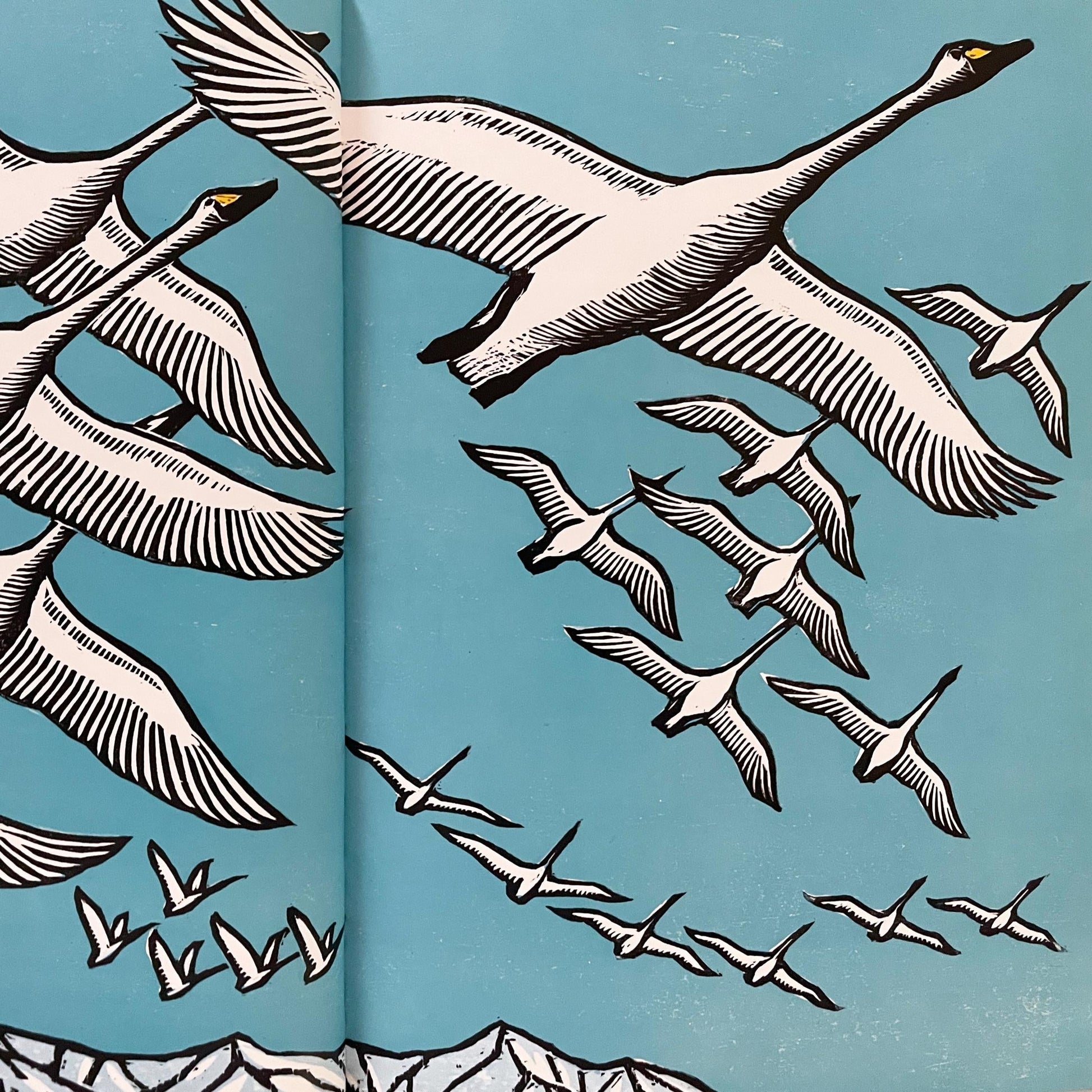 Swan Sky