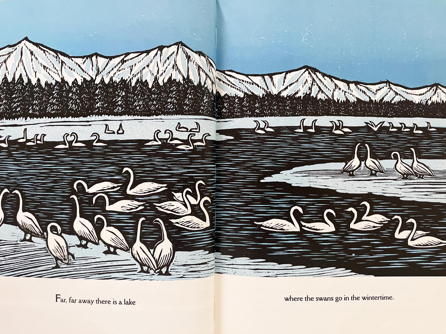Swan Sky