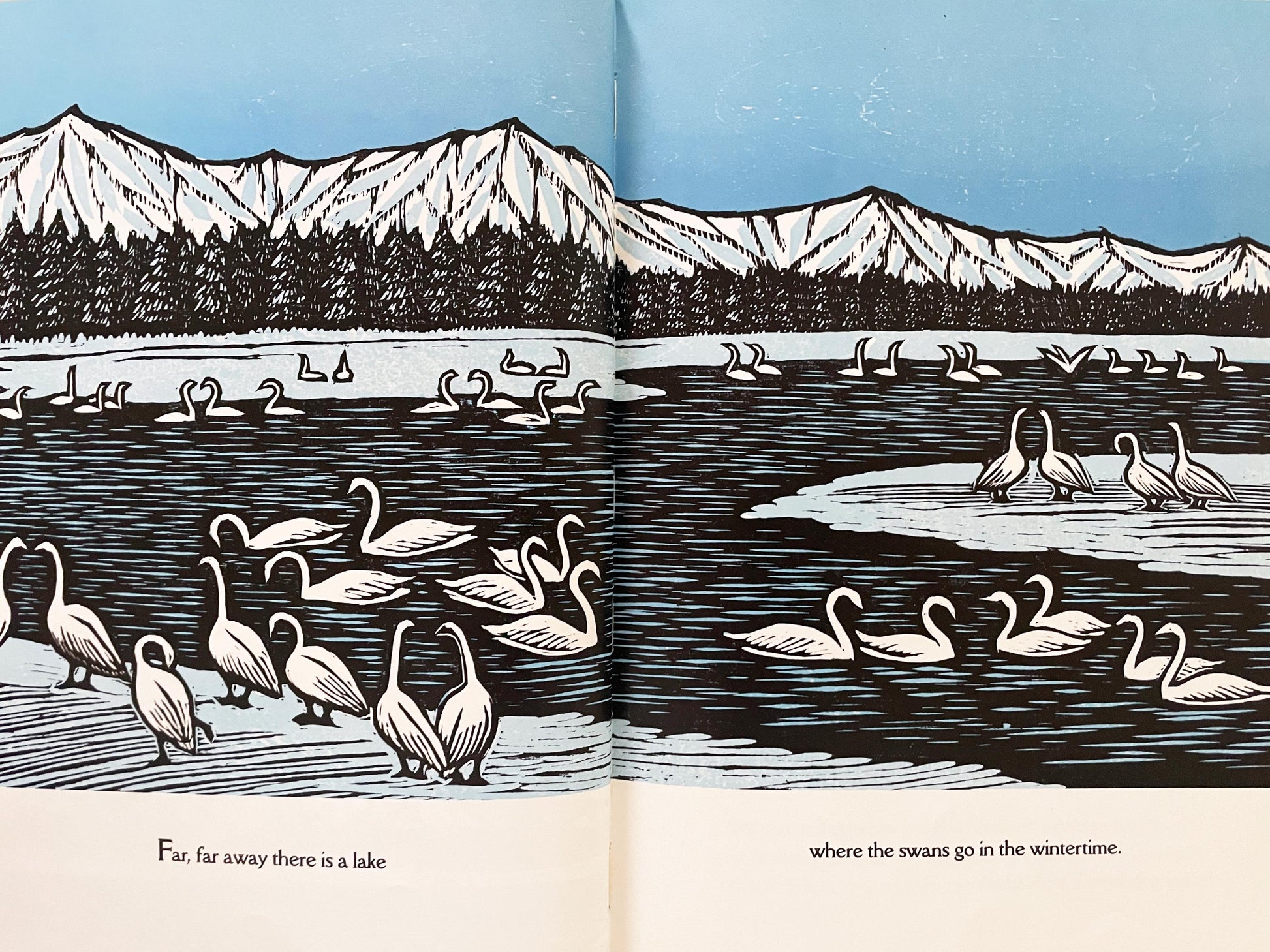 Swan Sky