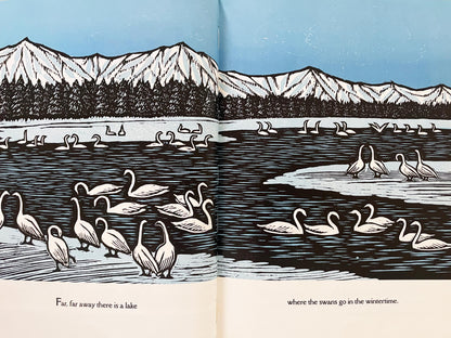 Swan Sky
