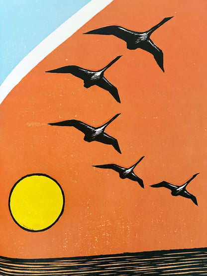 Swan Sky