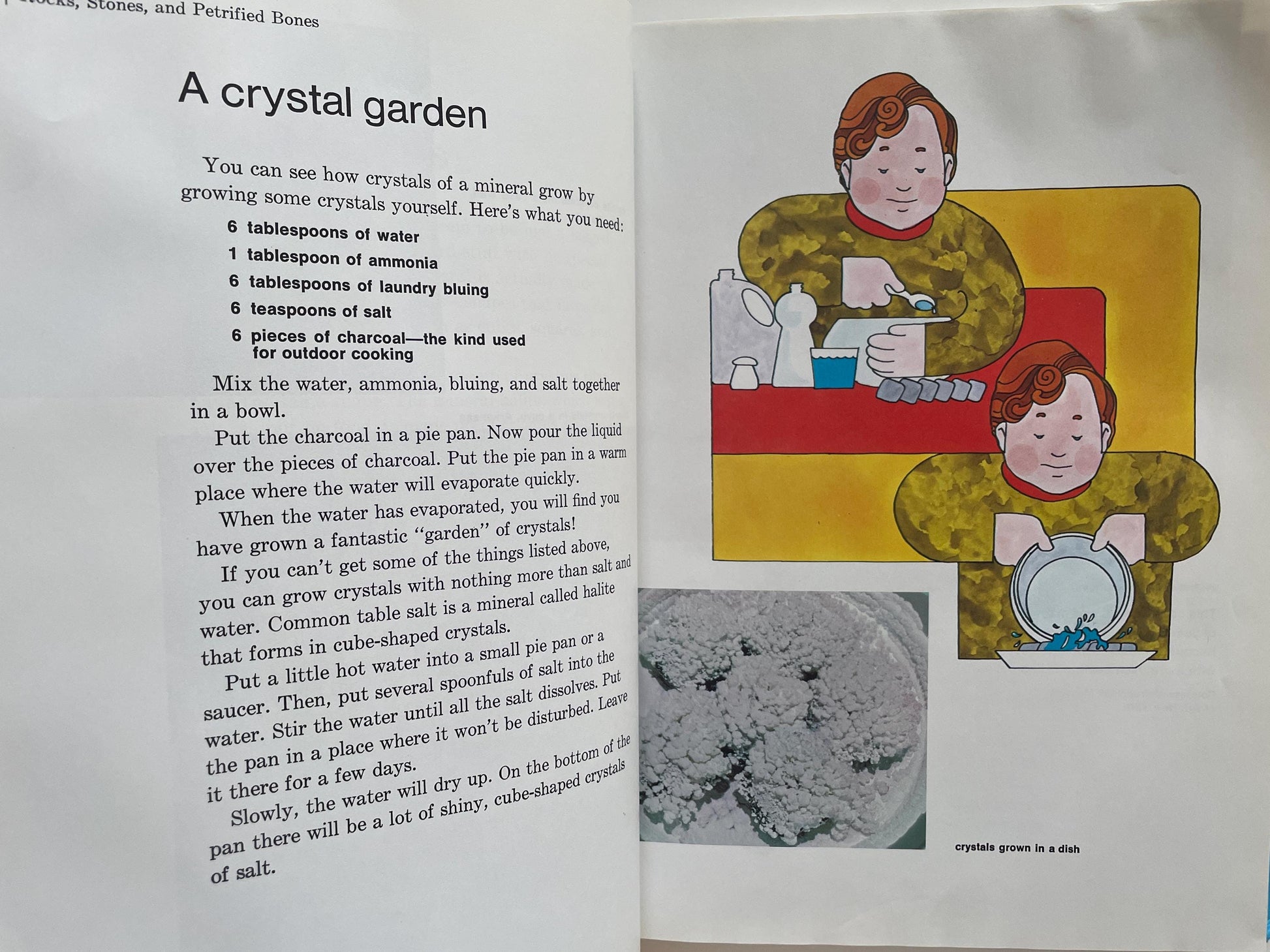 Childcraft: World and Space Volume 4