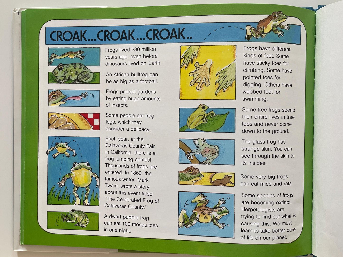 Frogs by Gail Gibbons
