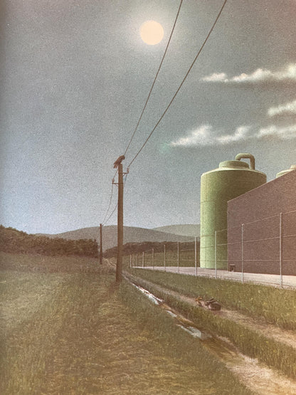 Rabbit Island by Jorg Steiner, illustrated by Jorg Muller