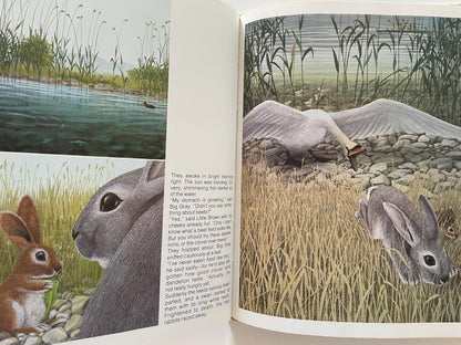 Rabbit Island by Jorg Steiner, illustrated by Jorg Muller