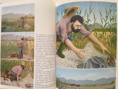 Rabbit Island by Jorg Steiner, illustrated by Jorg Muller