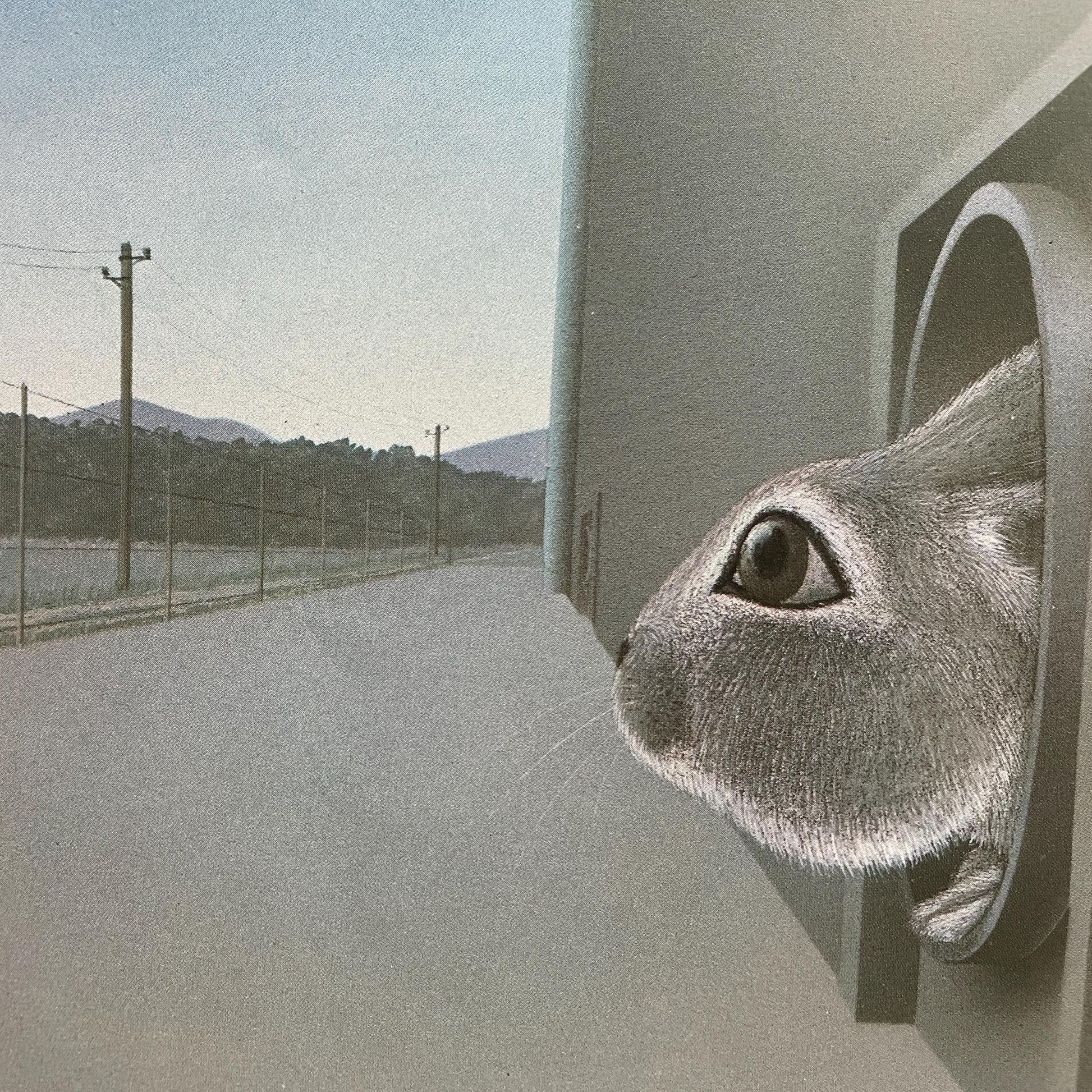 Rabbit Island by Jorg Steiner, illustrated by Jorg Muller