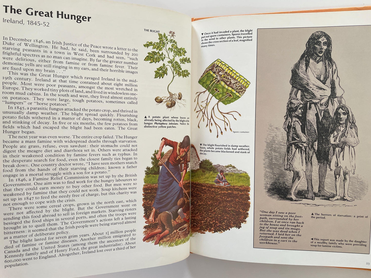 Timespan: Disasters by Tim Healey