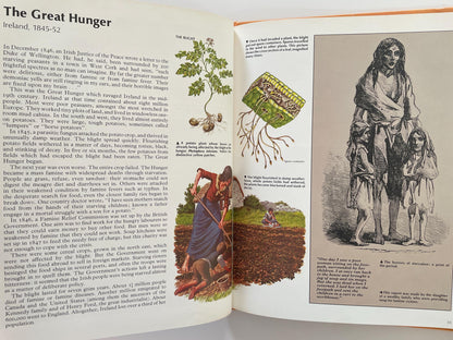 Timespan: Disasters by Tim Healey