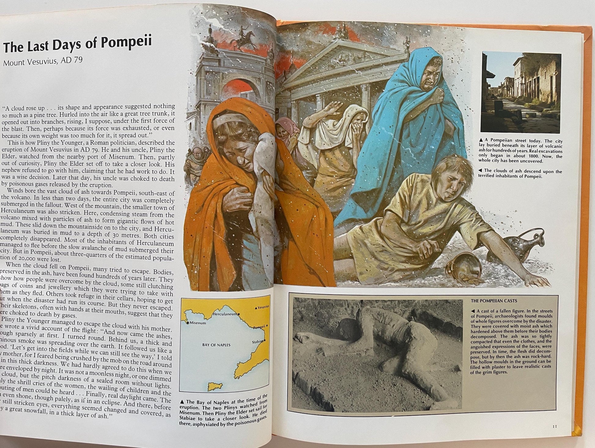 Timespan: Disasters by Tim Healey