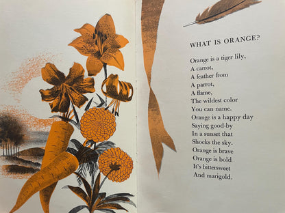 Hailstones and Halibut Bones: Adventures in Color by Mary O'Neill, illustrated by Leonard Weisgard