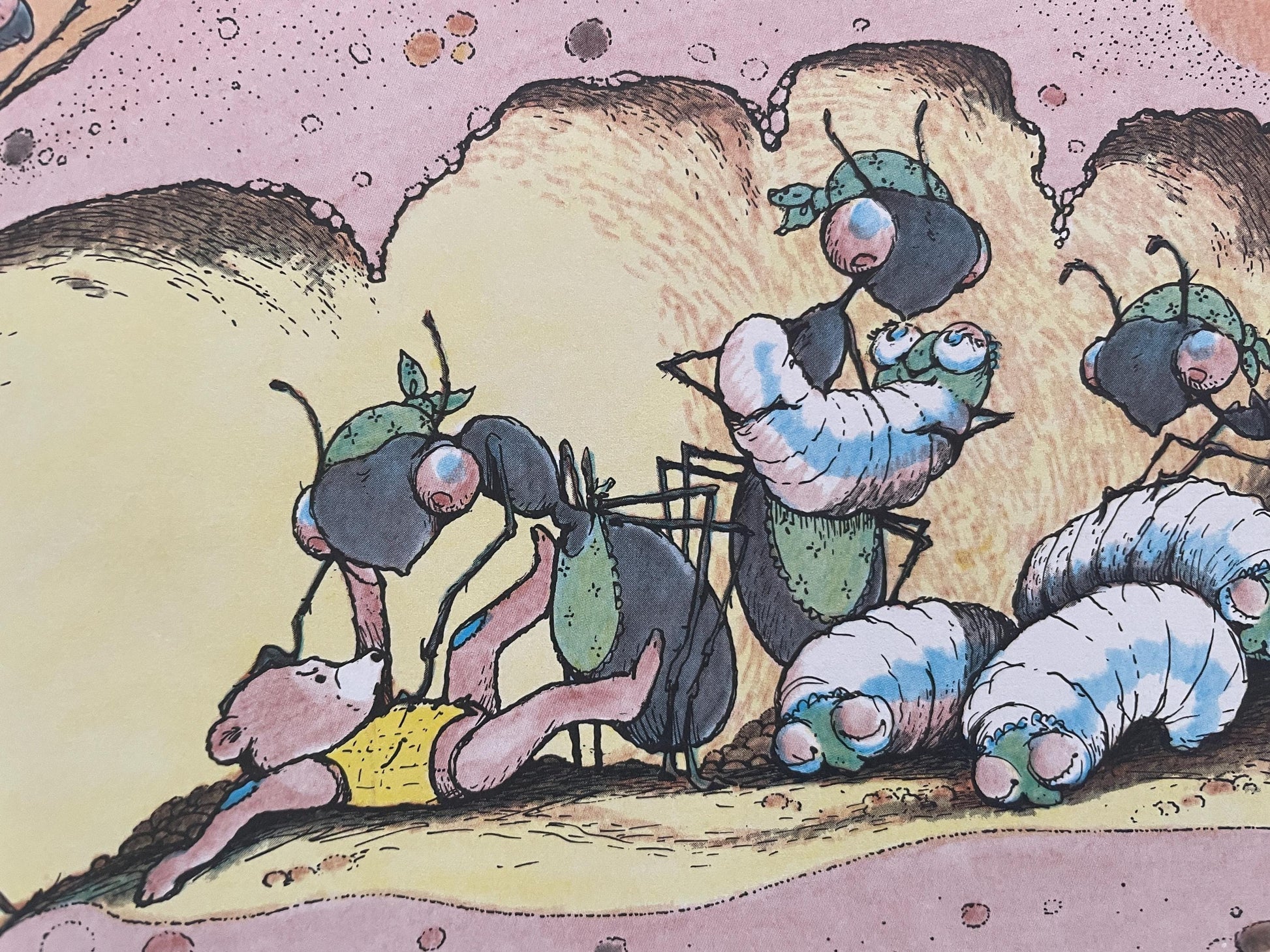 Bear Underground by Betty Boegehold, illustrated by Jim Arnosky