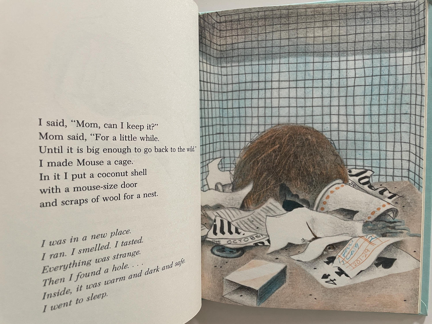 Mouse and Time by Faith McNully, illustrations by Marc Simont