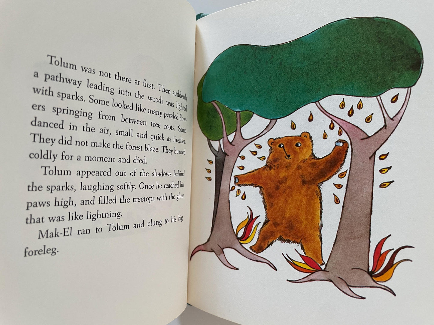 A Gift for Tolum by Marjorie Hopkins, illustrated by Anne Rockwell