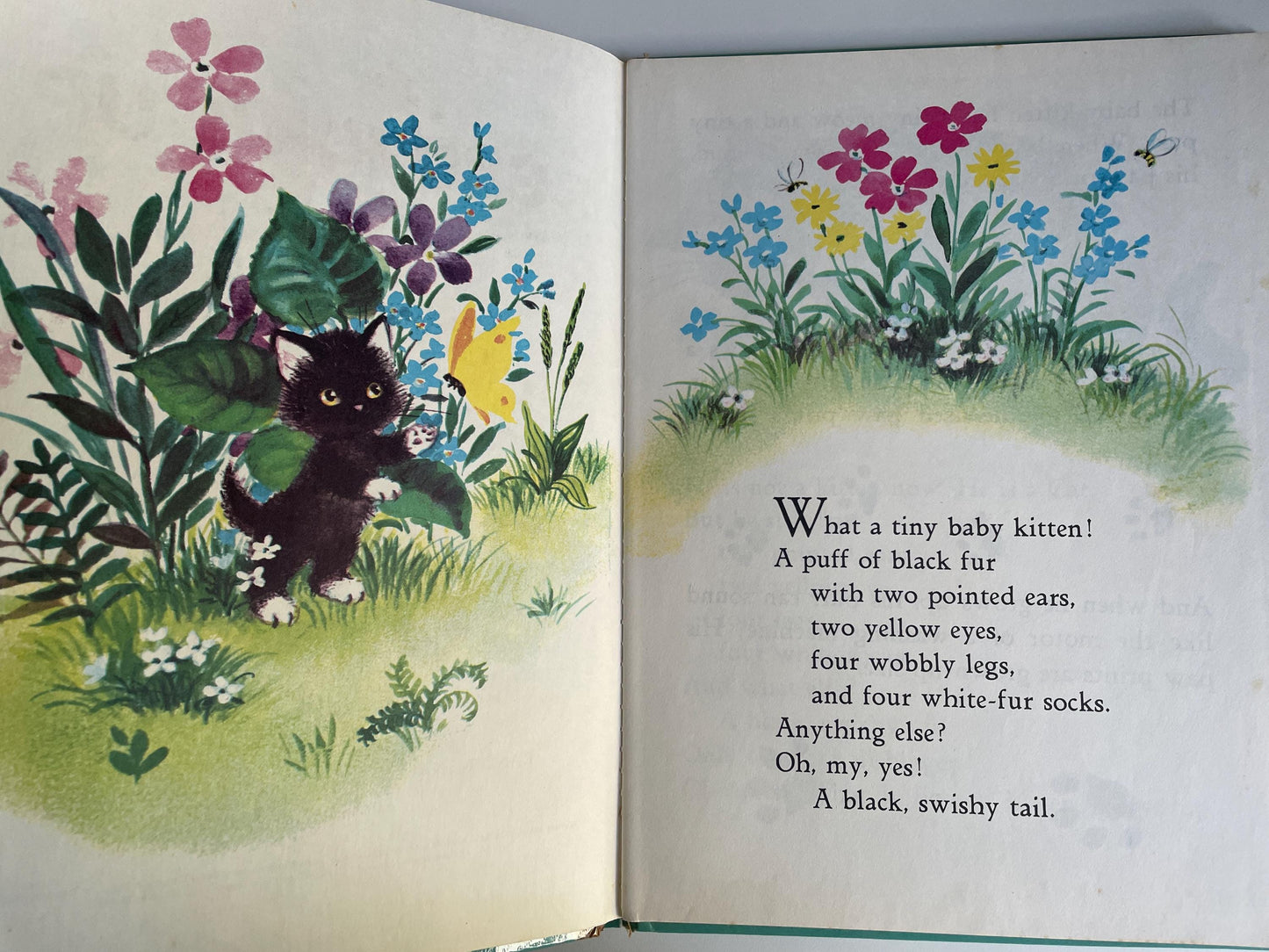 The 3 Little Kittens