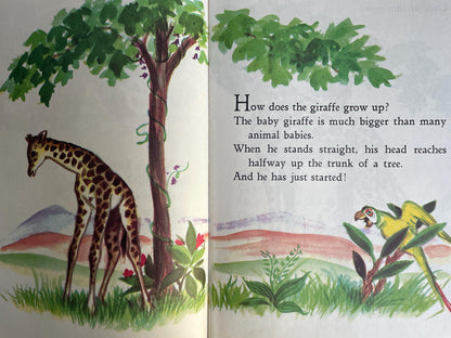 The 3 Little Kittens