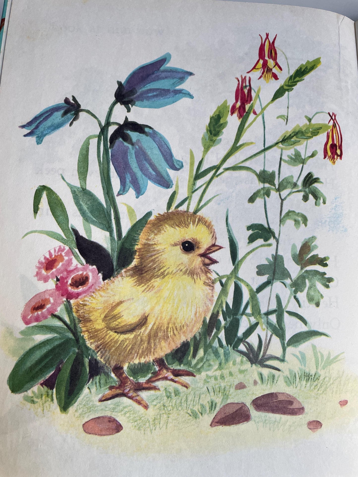 The 3 Little Kittens