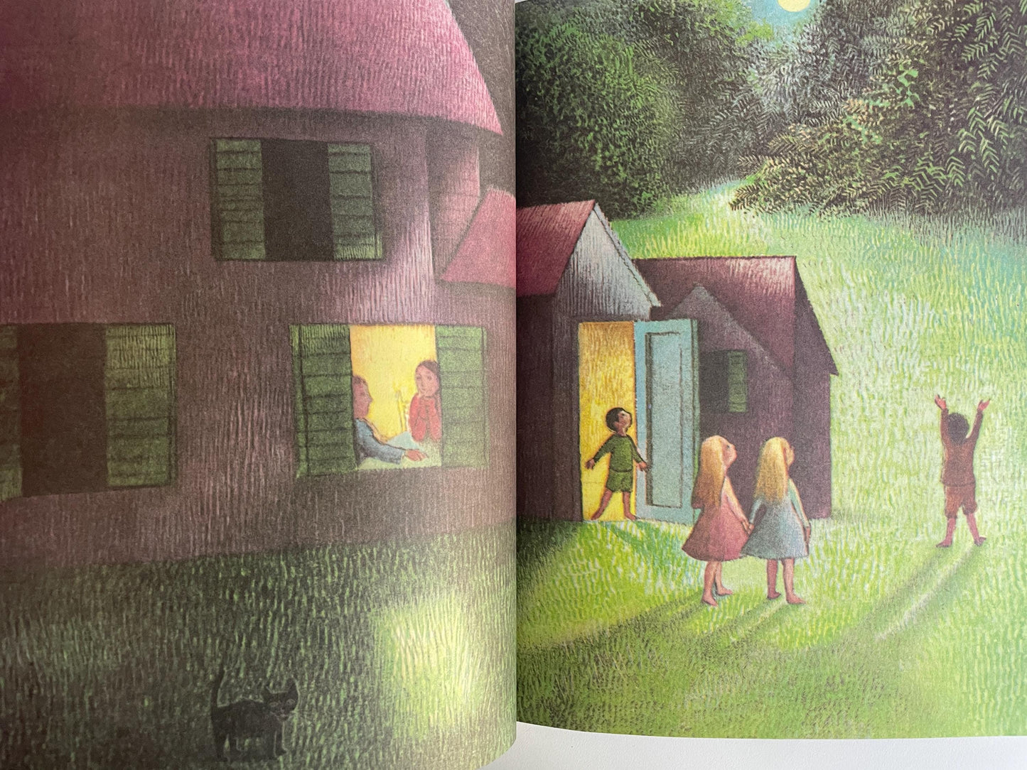 The Moon Jumpers by Janice May Udry, illustrated by Maurice Sendak