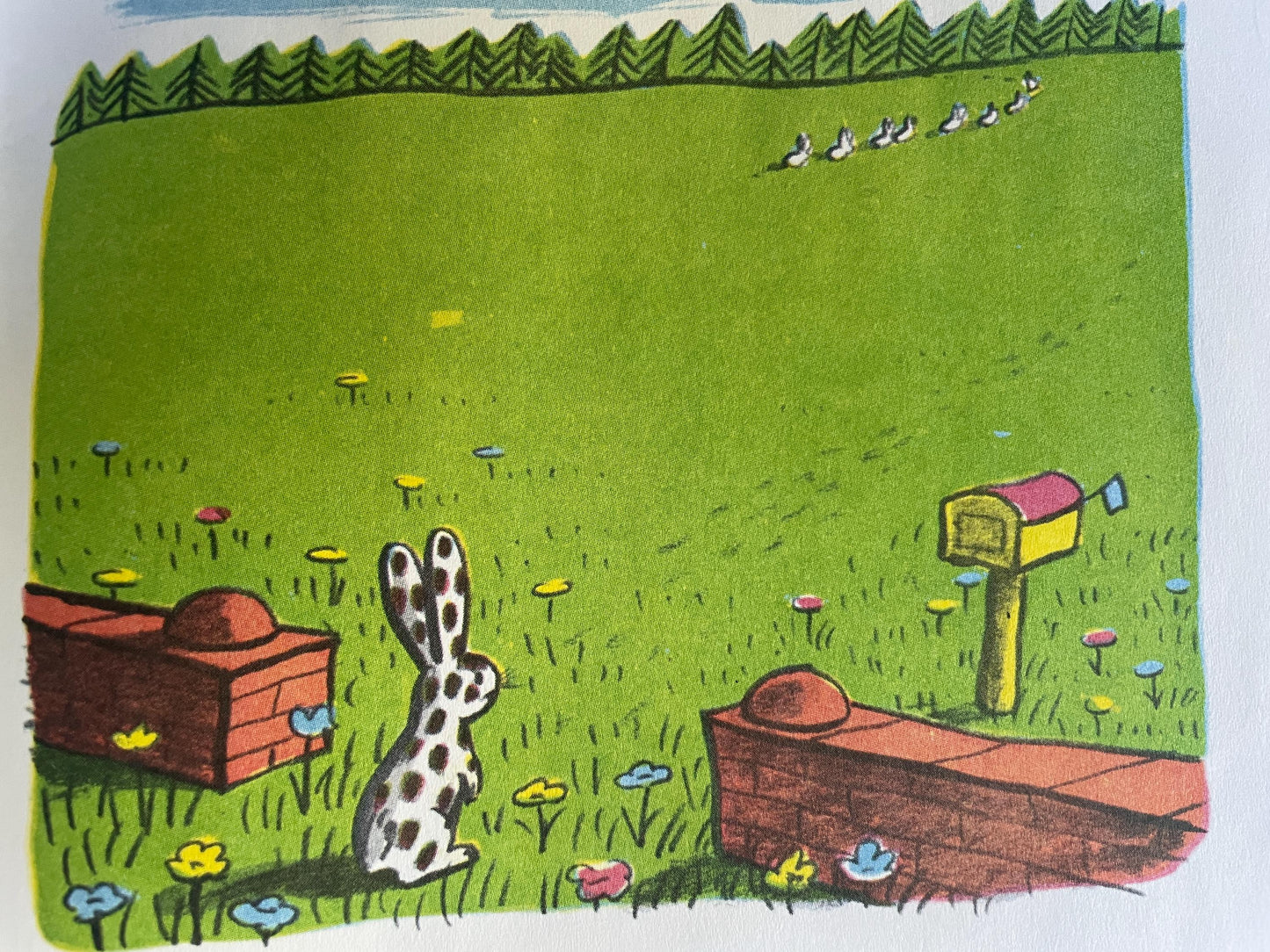 Spotty by Margret Rey, illustrated by H. A. Rey