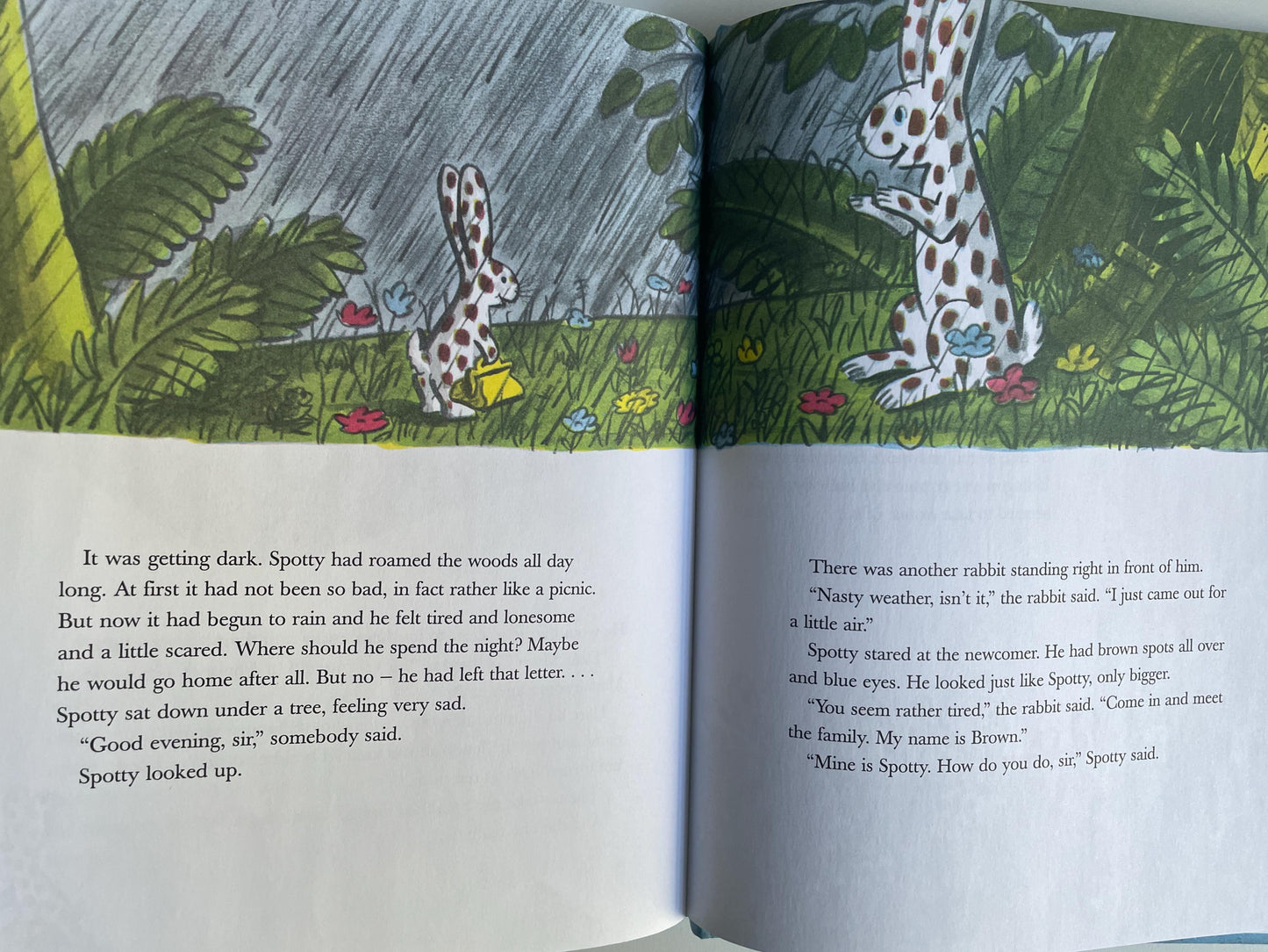 Spotty by Margret Rey, illustrated by H. A. Rey
