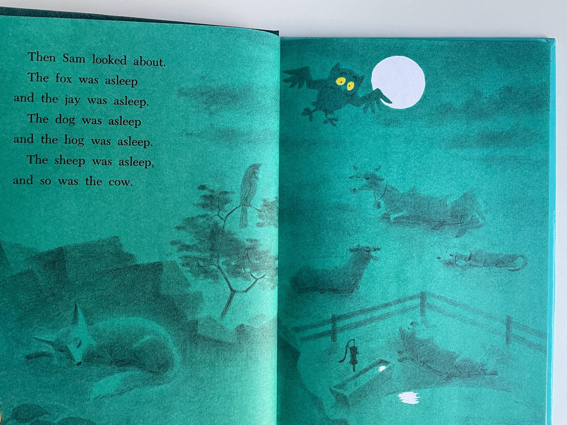 Sam and the Firefly by P. D. Eastman