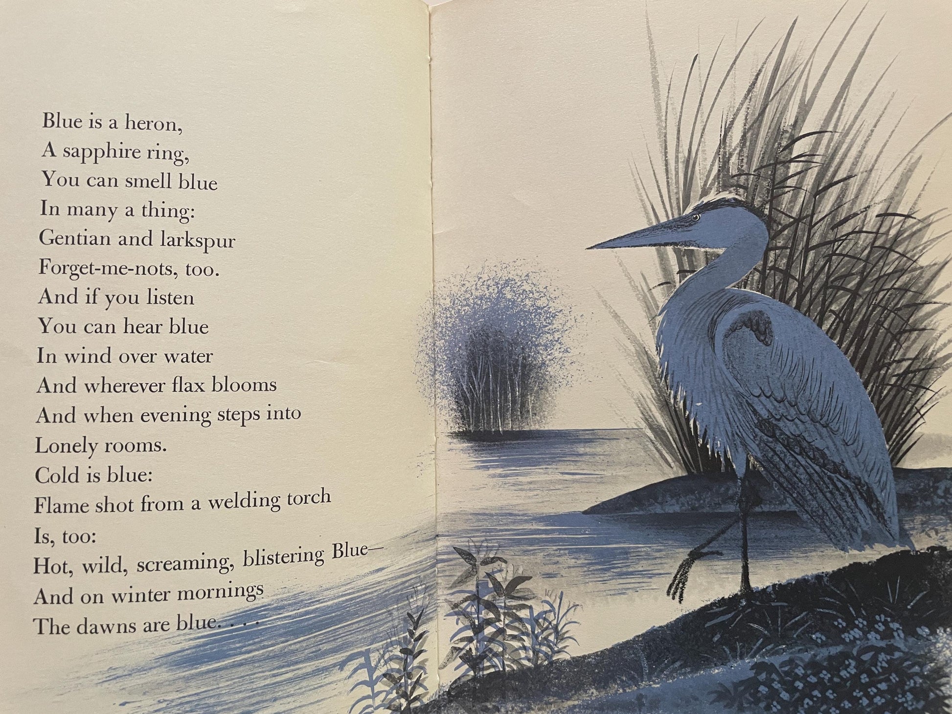 Hailstones and Halibut Bones: Adventures in Color by Mary O'Neill, illustrated by Leonard Weisgard