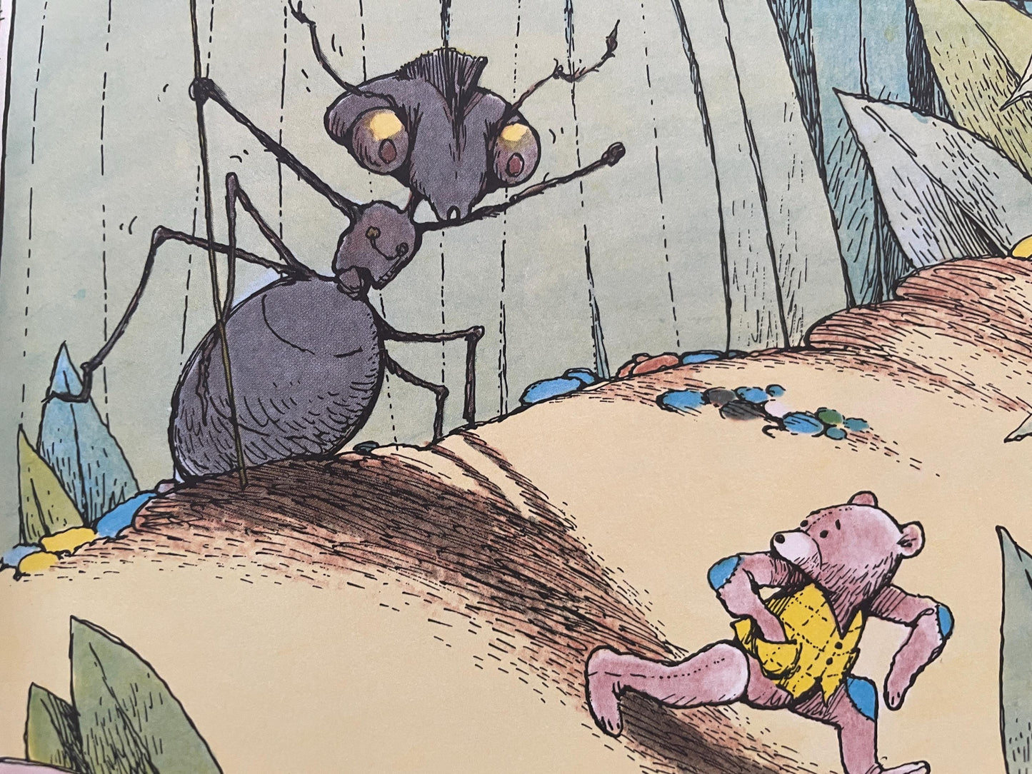 Bear Underground by Betty Boegehold, illustrated by Jim Arnosky